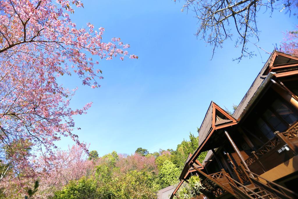Fang Angkhang Nature Resort מראה חיצוני תמונה